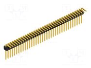 Connector: pin strips; pin header; male; PIN: 36; 1.5A; 125V; THT FISCHER ELEKTRONIK