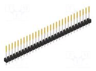 Connector: pin strips; pin header; male; PIN: 29; THT; 3A; 250V; 1x29 FISCHER ELEKTRONIK