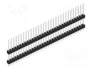 Connector: pin strips; pin header; male; PIN: 31; THT; 3A; 250V; 1x31 FISCHER ELEKTRONIK