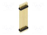 Connector: pin strips; pin header; male; PIN: 12; 3A; 250V; THT; 2x6 FISCHER ELEKTRONIK