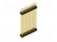 Connector: pin strips; pin header; male; PIN: 22; 3A; 250V; THT; 2x11 FISCHER ELEKTRONIK