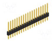 Connector: pin strips; pin header; male; PIN: 19; 1.5A; 125V; THT FISCHER ELEKTRONIK