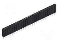 Connector: pin strips; socket; female; PIN: 24; BL 1; 3A; 125V; THT FISCHER ELEKTRONIK