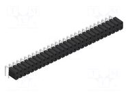 Connector: pin strips; socket; female; PIN: 56; BL LP 4; 3A; 125V FISCHER ELEKTRONIK