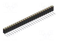 Connector: pin strips; socket; female; PIN: 25; BLY 3; 2.5A; 100V FISCHER ELEKTRONIK