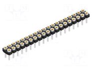 Connector: pin strips; socket; female; PIN: 38; 1.5A; 60V; straight FISCHER ELEKTRONIK