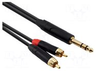 Cable; Jack 6,3mm plug,RCA plug x2; 9m; black; PVC REDS MUSIC