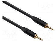 Cable; Jack 3.5mm plug,both sides; 5m; black; Øcable: 6mm; PVC REDS MUSIC