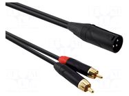 Cable; RCA plug x2,XLR male 3pin; 2m; black; PVC REDS MUSIC