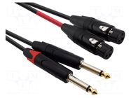 Cable; Jack 6,3mm plug x2,XLR female 3pin x2; 3m; black; PVC REDS MUSIC