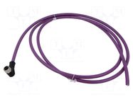 Cable: for sensors/automation; M12; PIN: 5; shielded,straight; 2m BINDER