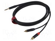 Cable; Jack 6,3mm plug,RCA plug x2; 3m; black; PVC REDS MUSIC