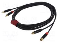 Cable; RCA plug x2,both sides; 3m; black; PVC REDS MUSIC