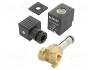 Electromagnetic valve; G 1/4"; brass; FKM; Valve: 2/2 NC; 24VDC AIGNEP