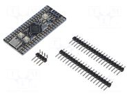 Dev.kit: STM32; prototype board; uC: STM32F411CEU KAMAMI