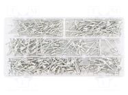 Rivets set; aluminium; single sided; 400pcs. NEO TOOLS