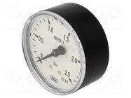 Manometer; 0÷2.5bar; M12x1,5,rear connection; 63mm; plastic PNEUMAT