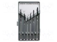 Kit: screwdrivers; precision; Phillips,slot; 6pcs. PROLINE
