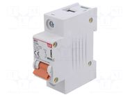 Circuit breaker; 230VAC; Inom: 125A; Poles: 1; Charact: C; 10kA; IP20 LS ELECTRIC