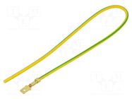 Cable: cable with crimped terminals; yellow-green; Len: 250mm CHEVAL