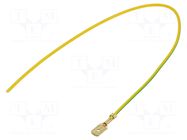 Cable: cable with crimped terminals; yellow-green; Len: 250mm CHEVAL