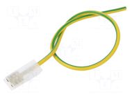 Cable: cable with crimped terminals; yellow-green; Len: 250mm CHEVAL