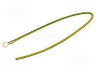 Cable: cable with crimped terminals; yellow-green; 250mm; H05V-K CHEVAL