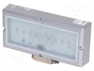 Lamp: LED flood light; 24VDC; IP67 QLIGHT