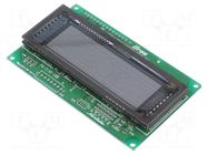 Display: VFD; graphical; 140x32; 350cd/m2; Temp: -40÷85°C; PIN: 21 NORITAKE Itron