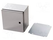 Enclosure: wall mounting; X: 300mm; Y: 300mm; Z: 210mm; AX; natural RITTAL