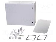 Enclosure: wall mounting; X: 800mm; Y: 600mm; Z: 300mm; AX; steel RITTAL