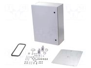 Enclosure: wall mounting; X: 500mm; Y: 700mm; Z: 250mm; AX; steel RITTAL