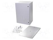 Enclosure: wall mounting; X: 600mm; Y: 800mm; Z: 250mm; AX; steel RITTAL