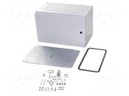 Enclosure: wall mounting; X: 600mm; Y: 380mm; Z: 350mm; AX; steel RITTAL