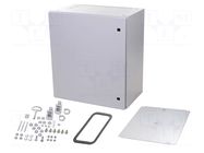 Enclosure: wall mounting; X: 600mm; Y: 600mm; Z: 350mm; AX; steel RITTAL
