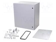 Enclosure: wall mounting; X: 600mm; Y: 600mm; Z: 350mm; AX; steel RITTAL