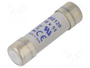 Fuse: fuse; 20A; 690VAC; gR; ceramic,cylindrical,industrial DF ELECTRIC