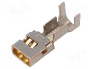 Contact; female; gold-plated; 12AWG÷10AWG; crimped; for cable HIROSE