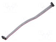 Ribbon cable with IDC connectors; Tape ph: 0.64mm; 152.4mm; 6" SAMTEC