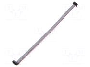 Ribbon cable with IDC connectors; IDC,both sides; 203.2mm; 8" SAMTEC