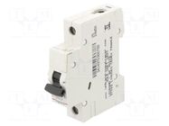 Circuit breaker; 230VAC; Inom: 25A; Poles: 1; Charact: B; 6kA; IP20 LEGRAND