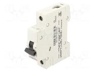 Circuit breaker; 230VAC; Inom: 10A; Poles: 1; Charact: C; 6kA; IP20 LEGRAND