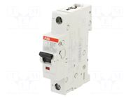 Circuit breaker; 230VAC; 220VDC; Inom: 63A; Poles: 1; Charact: B ABB