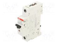 Circuit breaker; 230VAC; 220VDC; Inom: 13A; Poles: 1; Charact: C ABB
