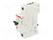 Circuit breaker; 230VAC; 220VDC; Inom: 25A; Poles: 1; Charact: C ABB