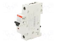 Circuit breaker; 230VAC; 220VDC; Inom: 40A; Poles: 1; Charact: C ABB