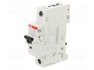Circuit breaker; 230VAC; 220VDC; Inom: 10A; Poles: 1; Charact: K ABB