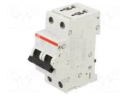 Circuit breaker; 400VAC; 400VDC; Inom: 25A; Poles: 2; Charact: B ABB
