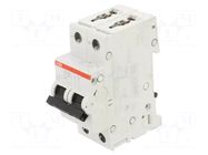 Circuit breaker; 400VAC; 400VDC; Inom: 10A; Poles: 2; Charact: Z ABB