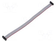 Ribbon cable with IDC connectors; IDC,both sides; 177.8mm; 7" SAMTEC